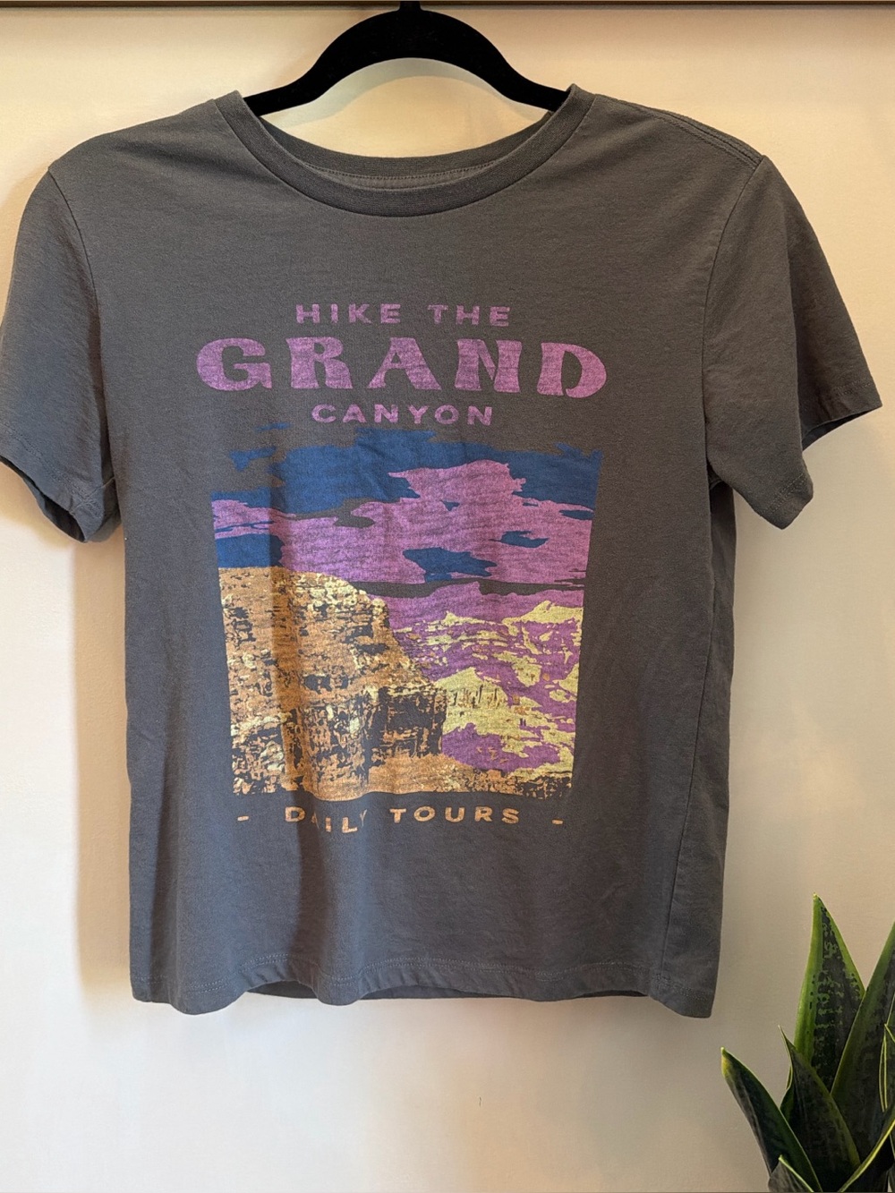 Grayson Threads Charcoal Tee with Purple, Blue and Gold Canyon Graphic